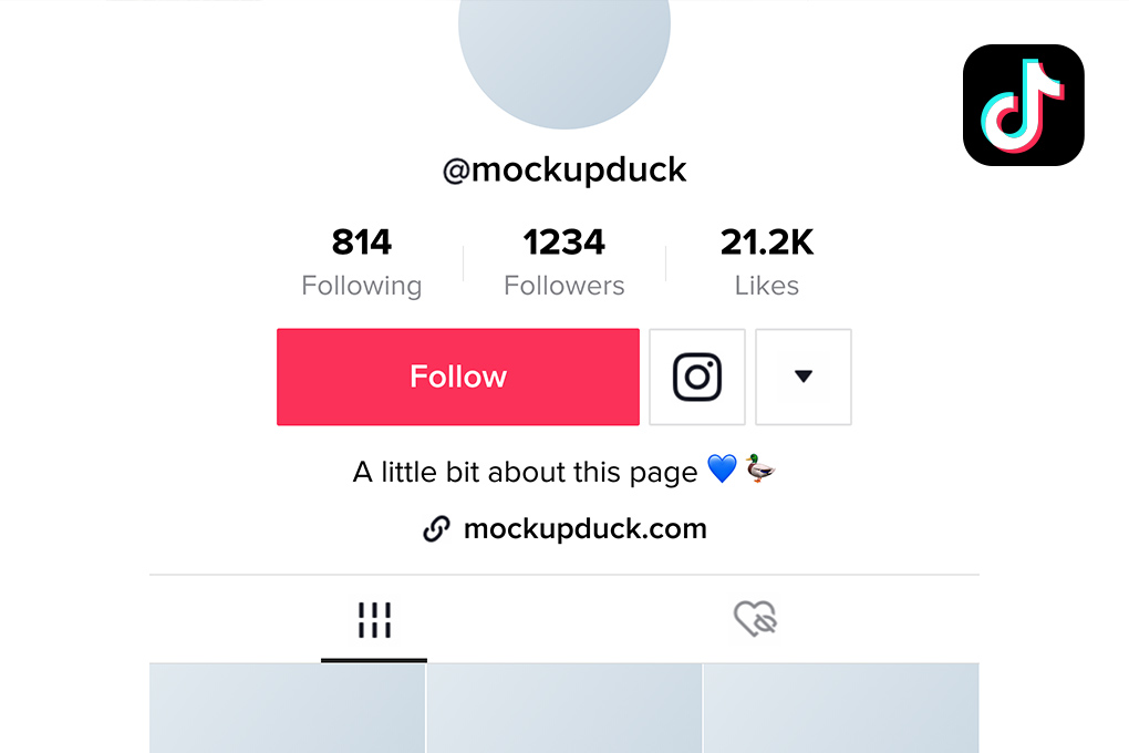 How to add an Instagram button to your TikTok profile page