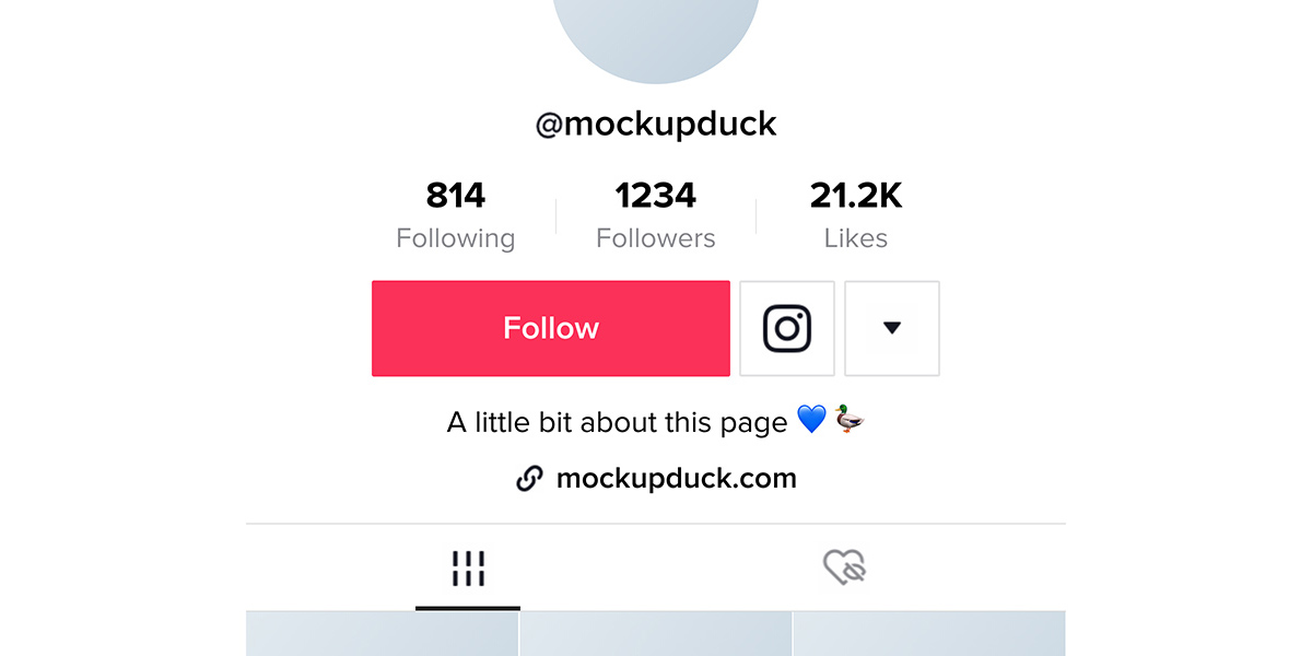 POV: Your shiny new Instagram button on your TikTok profile page