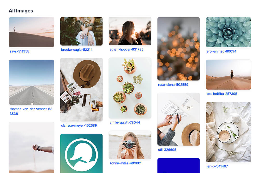 Shared asset library - upload once, use across the whole team